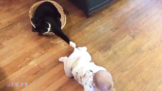 Смешные видео о детях и животных ● приколы с котами и собаками _ Funny Baby
