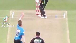 Marcus Stoines hit 4 sixes in one over