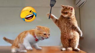 Funniest Animals 2023 ???? Funny Cats and Dogs ???????? | Funny Animal Videos 2023 →