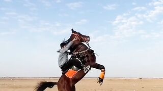 Horse ???? best move