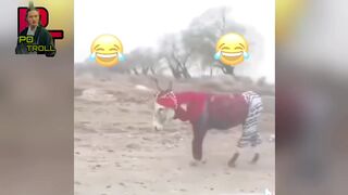 Funny video Group Fails