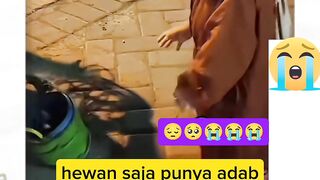 Monyet aja punya adab dan tau caranya berterimakasih