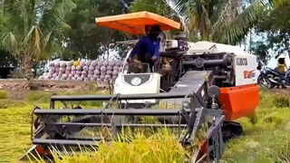 Combine harvester kubota DC 105 x