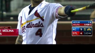 Cardinals-Royals Game Delayed by Cat