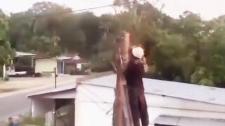 KECELAKAAN SAAT MENEBANG POHON