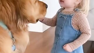 Anjing Vs Bayi , Debat Seru