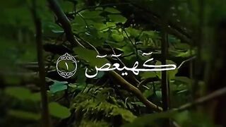 Tilawat e Quran Majeed in Arabic