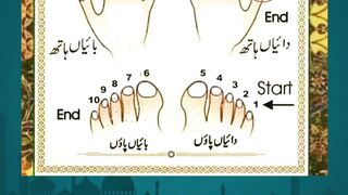 True Meaning of Islam  Peace and Guidance