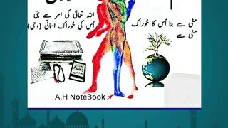 Why Non-Muslims Are Accepting Islam Every Day