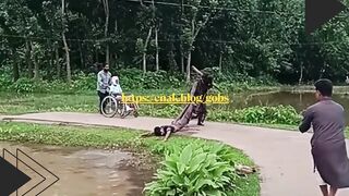 Orang di Kursi Roda Langsung Berdiri Setelah Kena Sentil