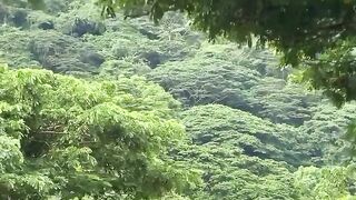 natural mountain roads