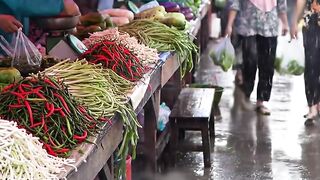 Exploring a Lively Asian Market After Rain