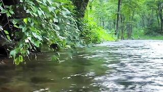river in the mountains