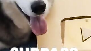 What happened to this Mystery Youtube play button
