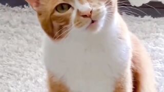 So cute