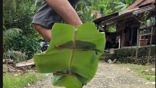 Flying on banana leaves comedy