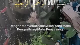 subhanallah.!!!