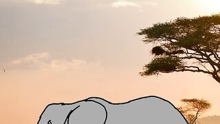 Fakta menarik gajah