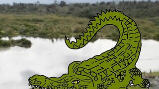 Fakta menarik buaya