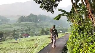 Beautyful rural nature