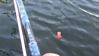 what do you think after watching this video