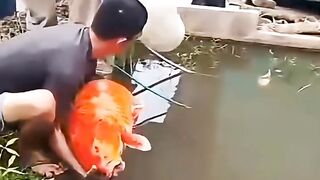 Monster Goldfish
