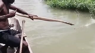 Shooting fish