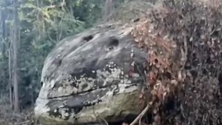 Monster Snake