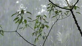 heavy rain