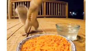 I can handle spicy food