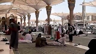 Madinah view