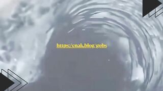 Anjing Laut Ini Muncul dari Lubang Es, Tapi Suara Dubbing-nya Bikin Ngakak!