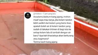 Cara ini aman dilakukan saat ganti air kolam agar lele tidak bermasalah