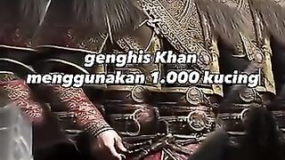 1000 KUCING mengalahkan sebuah kota fakta faktaunik mitos misteri sejarah genghiskhan