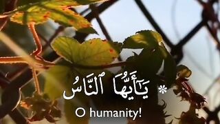 Tilawat e Quran paak