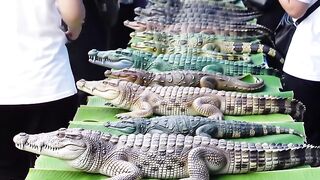 Amazing Street Food Display in Asia