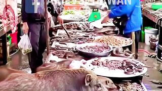 animal market