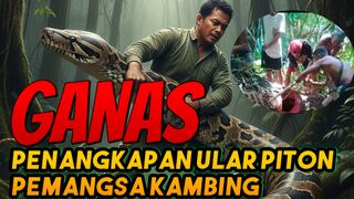 seconds of catching a python in the stomach of a haunted tree