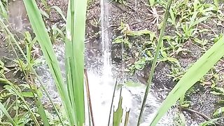 heavy rainy atmosphere