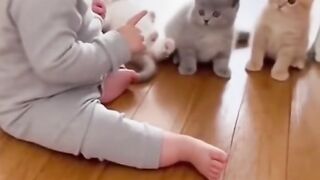 baby playing with cat.