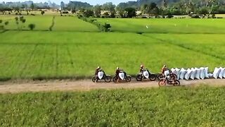 transport the rice harvest.