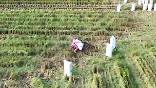 racing in the fields