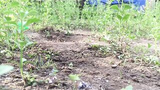 Truck mobile and drive