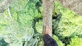 Very tall tree