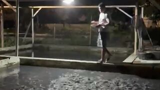 Berapa keTINGGIan air kolam budidaya ikan lele segmen pembesaran