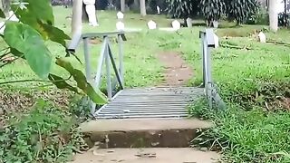 Ulah pusing mening hiling