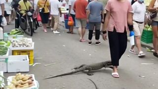 someone dares to catch a monitor lizard