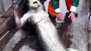 Did these fishermen really catch this monster for real
