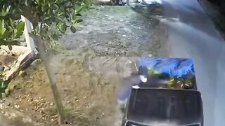 Terekam CCTV! Maling Borong Puluhan Tabung Gas
