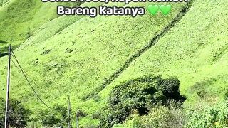 Kapan Nih ke Silalahi, Danau Toba?   Pesona Alam Sumatera Utara FYP Wisata